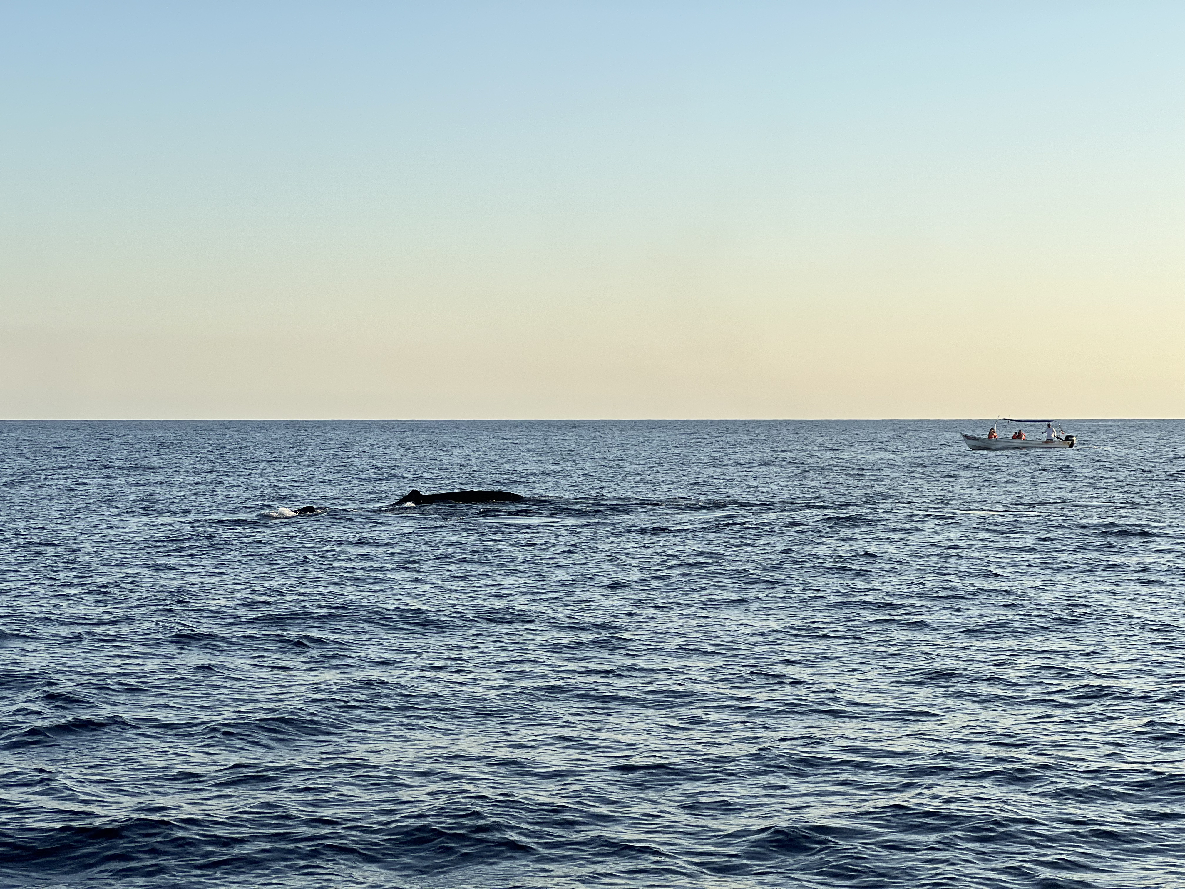 ./2024/13 - Cabo/IMG_4734.jpg